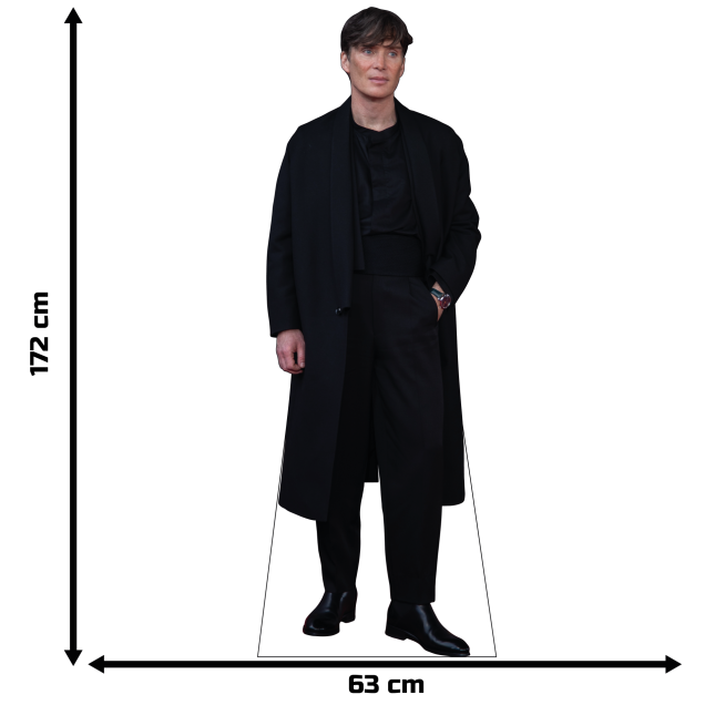 Postać Cillian Murphy - obrazek 2